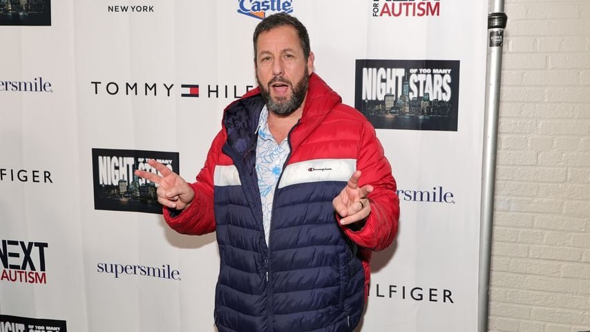 adam sandler vermögen